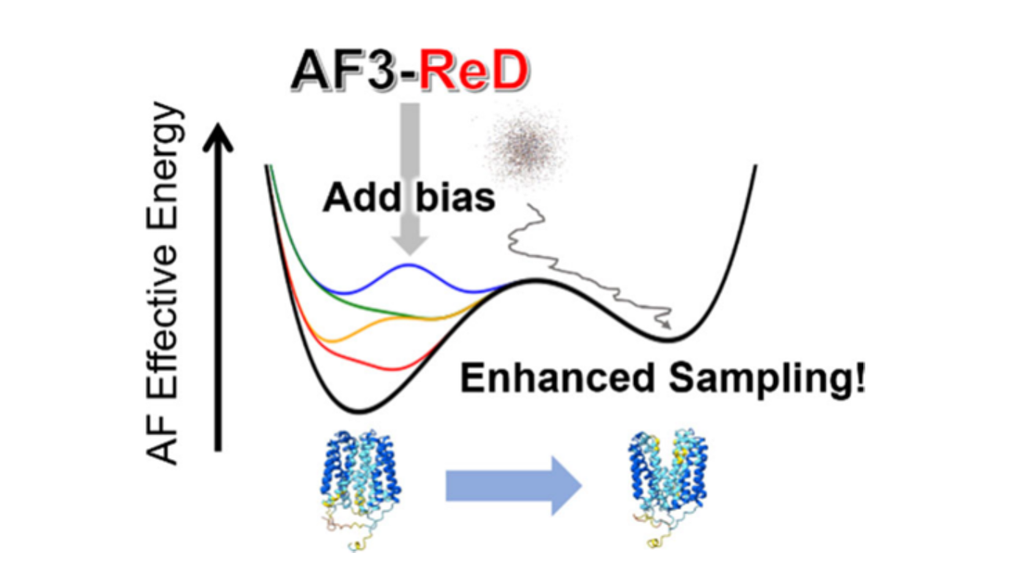 Pesquisadores japoneses desenvolveram uma técnica para superar uma limitação do AlphaFold3 e prever diferentes formas das proteínas. Crédito: Ohnuki and Okazaki