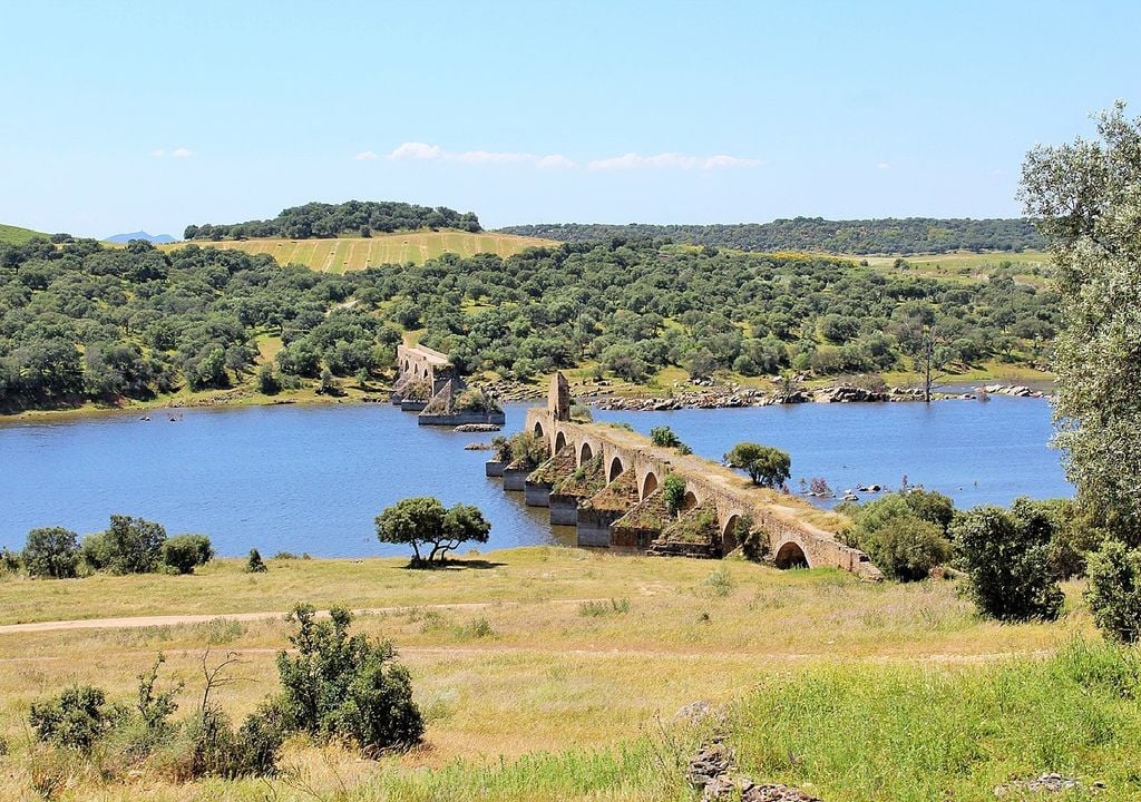 Guadiana Internacional Guadiana Internacional