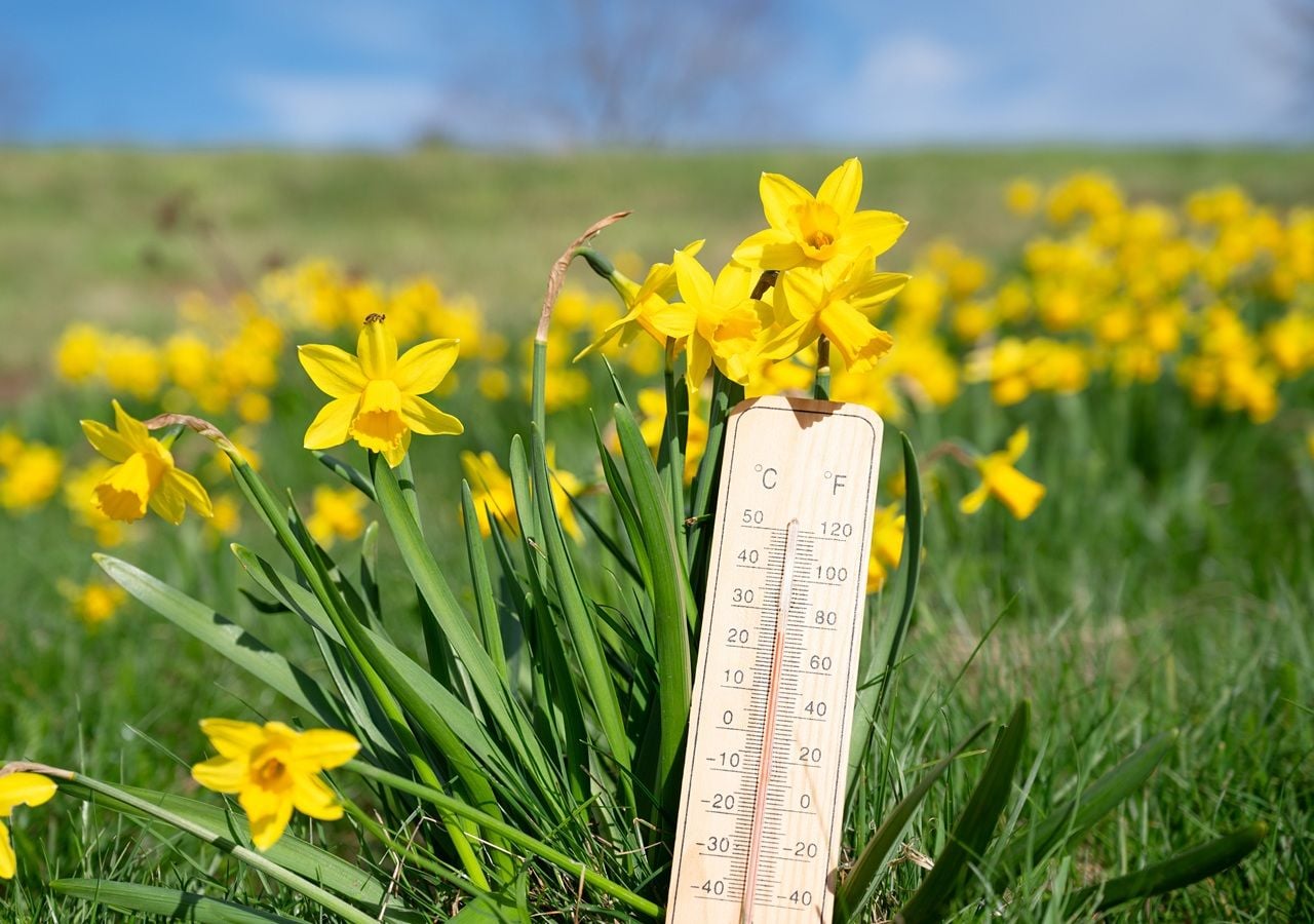 Esta semana, el clima primaveral hará su aparición en varias regiones de Chile. Las temperaturas subirán en horas de la tarde.