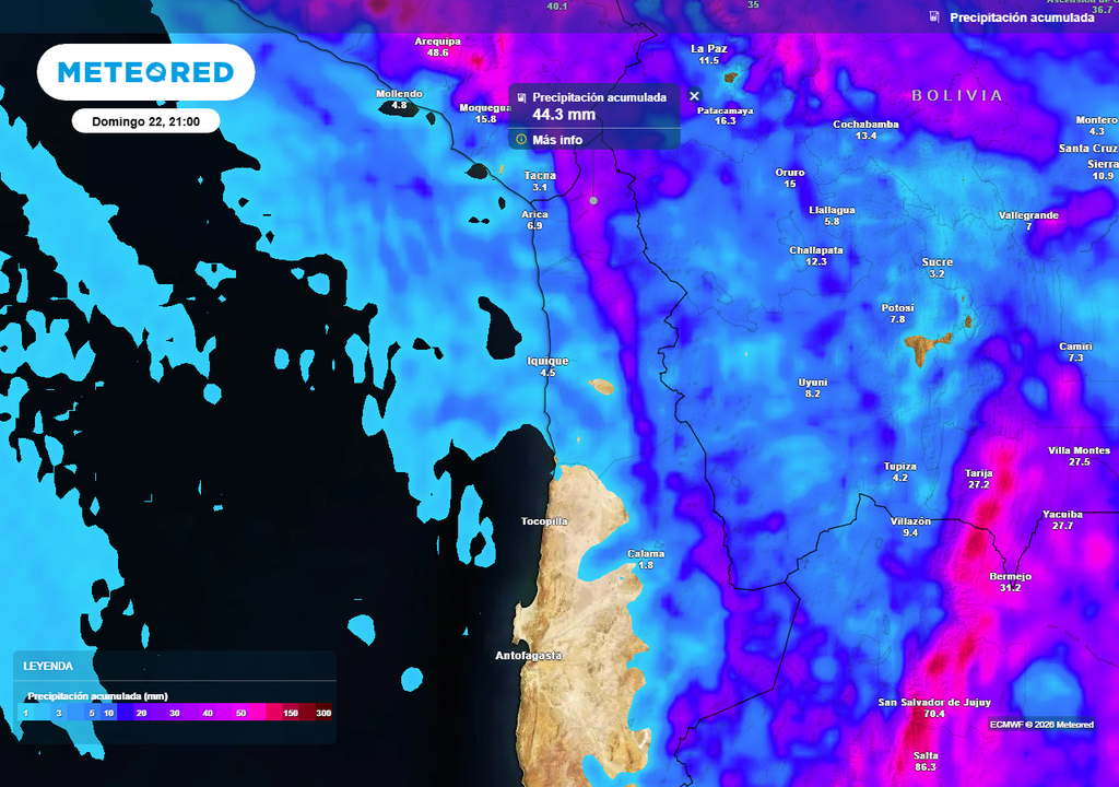 Precipitación acumulada (mm) hasta la noche del domingo 22 de febrero en la zona norte de Chile.