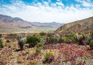 La alta de Bolivia y las lluvias de verano