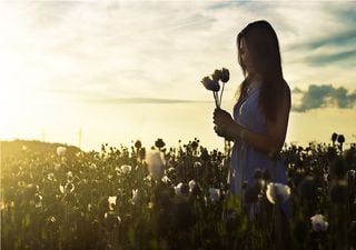 Altas temperaturas le dan la bienvenida a marzo 2020