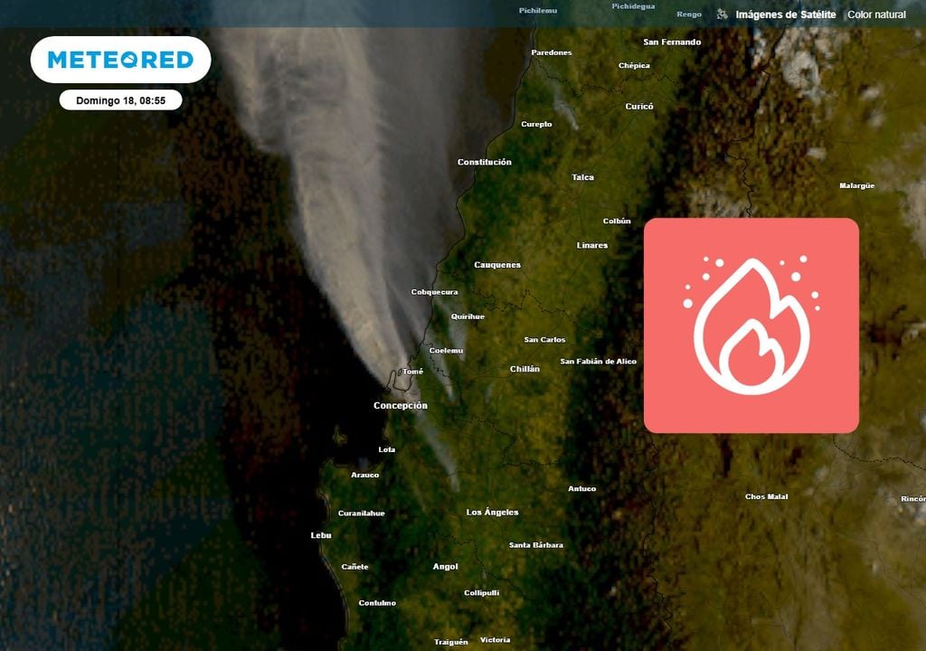 La magnitud de los incendios en la zona centro-sur es tal que los satélites permiten identificar claramente los focos activos y el desplazamiento del humo. Entre Ñuble y Biobío se observan cuatro focos, mientras que en el Maule se distingue al menos uno.