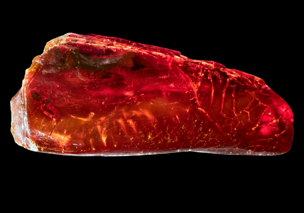 Ameise im Bernstein: †Ctenobethylus goepperti (links im Stein) aus Goethes Sammlung. Ameise im Bernstein: †Ctenobethylus goepperti (links im Stein) aus Goethes Sammlung. Bild: Bernhard Bock/Daniel Tröger