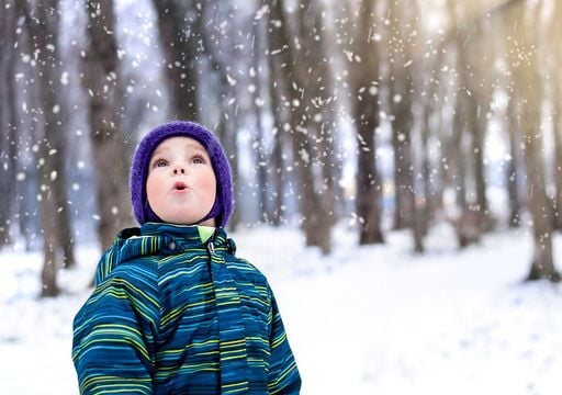 Alte Bauernregel k&uuml;ndigt f&uuml;r Freitag den ersten Schnee an &ndash; jetzt drehen die Wetterkarten pl&ouml;tzlich auf Nord