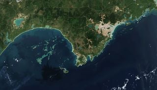 Altera&ccedil;&atilde;o na variabilidade sazonal do n&iacute;vel do mar poder&aacute; ter impactos significativos nos ecossistemas costeiros