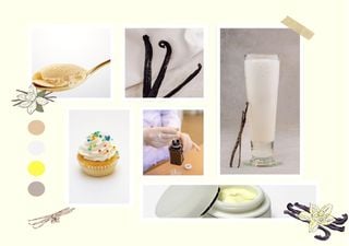 Alterações climáticas põem em risco o sabor milenar da baunilha