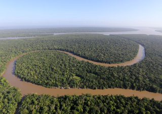 Alterações na floresta tropical