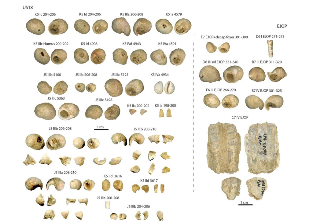Material aus Schichten, aus denen die Artefakte aus dem Châtelperronien stammen. Material aus Schichten, aus denen die Artefakte aus dem Châtelperronien stammen.