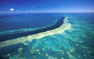 Altibajos en la Gran Barrera de Coral