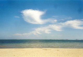 Altocumulus Floccus
