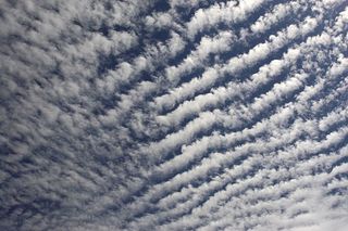 Altocumulus stratiformis undulatus translucidus perlucidus
