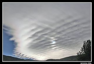 Altocumulus undulatus