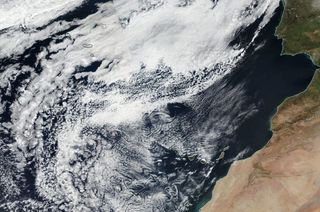 Altos niveles de CO2 pueden desestabilizar las nubes bajas marinas