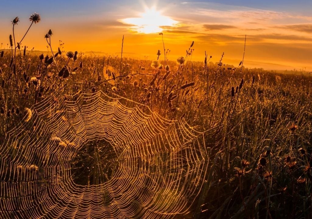Wenn der Herbst noch einmal seine warme Seite zeigt und ein Hauch von Altweibersommer durch die Luft weht.