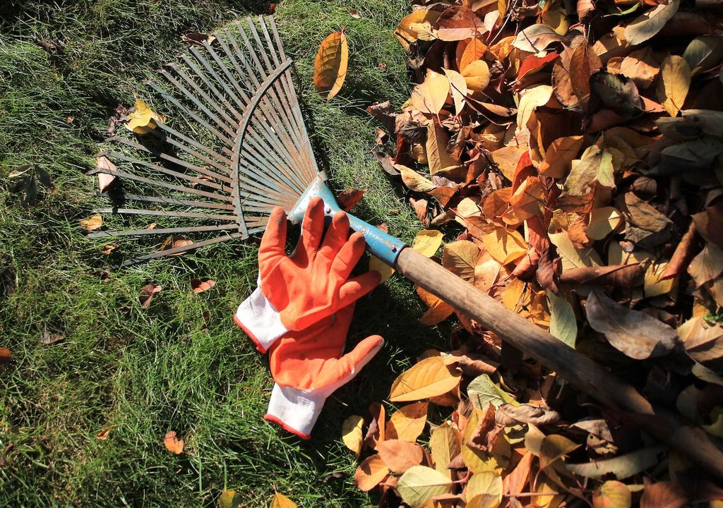 Gartengerät, Instandhaltung,Pflege