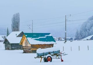 Am Wochenende kommt der erste Schnee nach Deutschland! Wo wird es weiß und wie lange bleibt die weiße Pracht? 