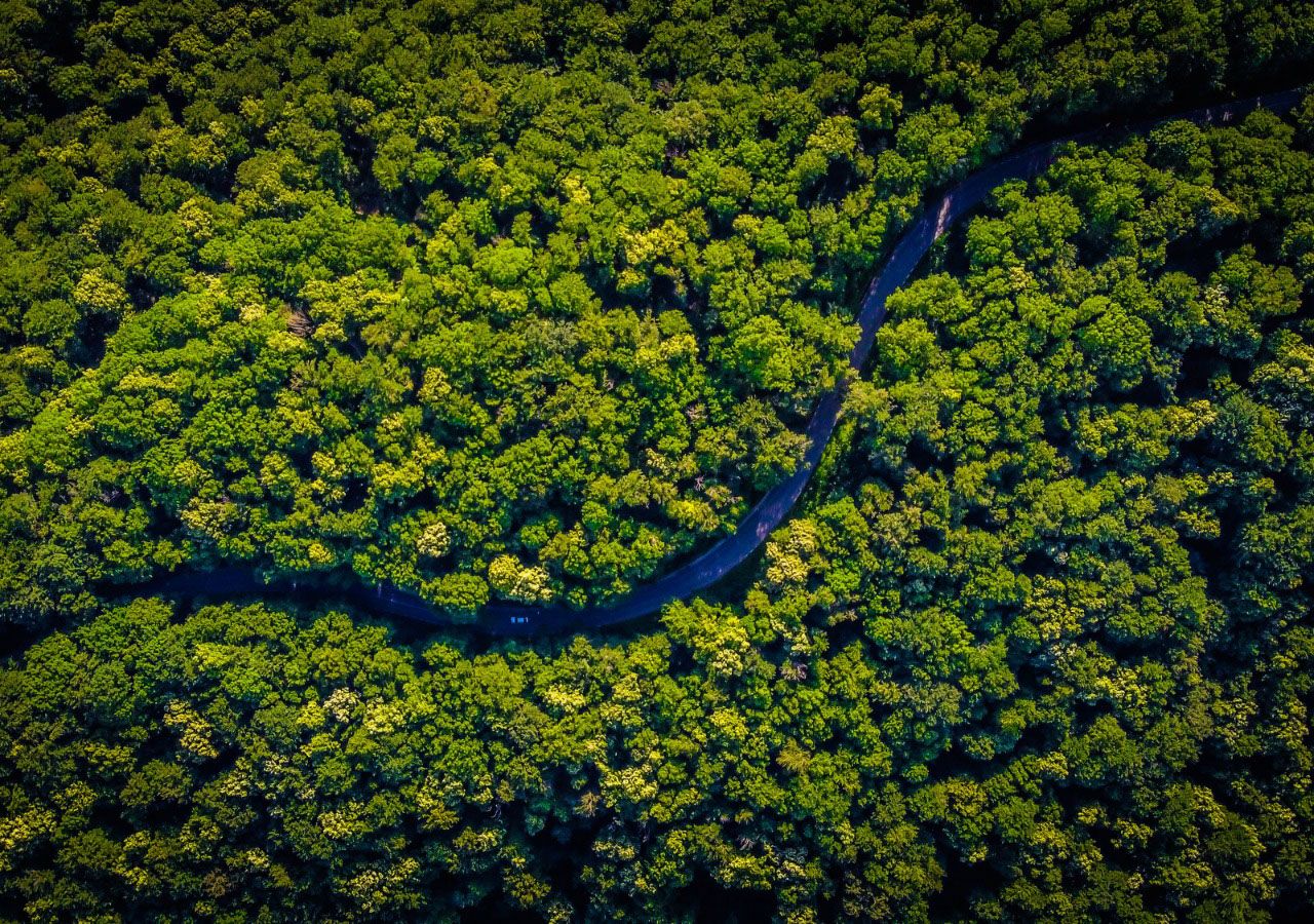 Amazon borneo congo and daintree. Тропические леса Амазонии. Сельва амазонки. Тропические леса амазонки в Бразилии. Шервудский лес сверху.