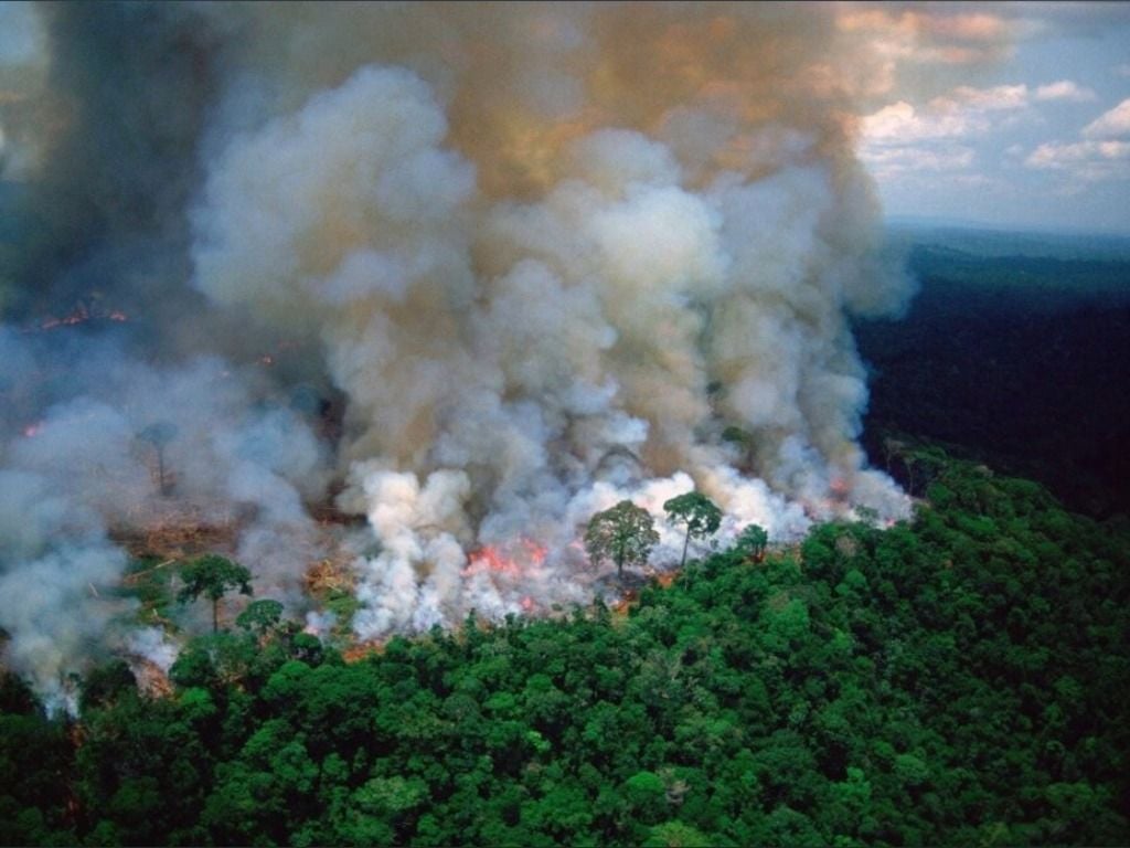 Amazonas Incendios forestales PrayforAmazonas