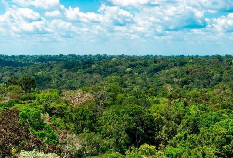 Amazonas registra menor n&uacute;mero de focos de calor da hist&oacute;ria, aponta Inpe