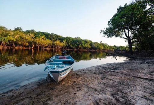 Amaz&ocirc;nia: &aacute;reas protegidas t&ecirc;m menor desmatamento em mais de uma d&eacute;cada