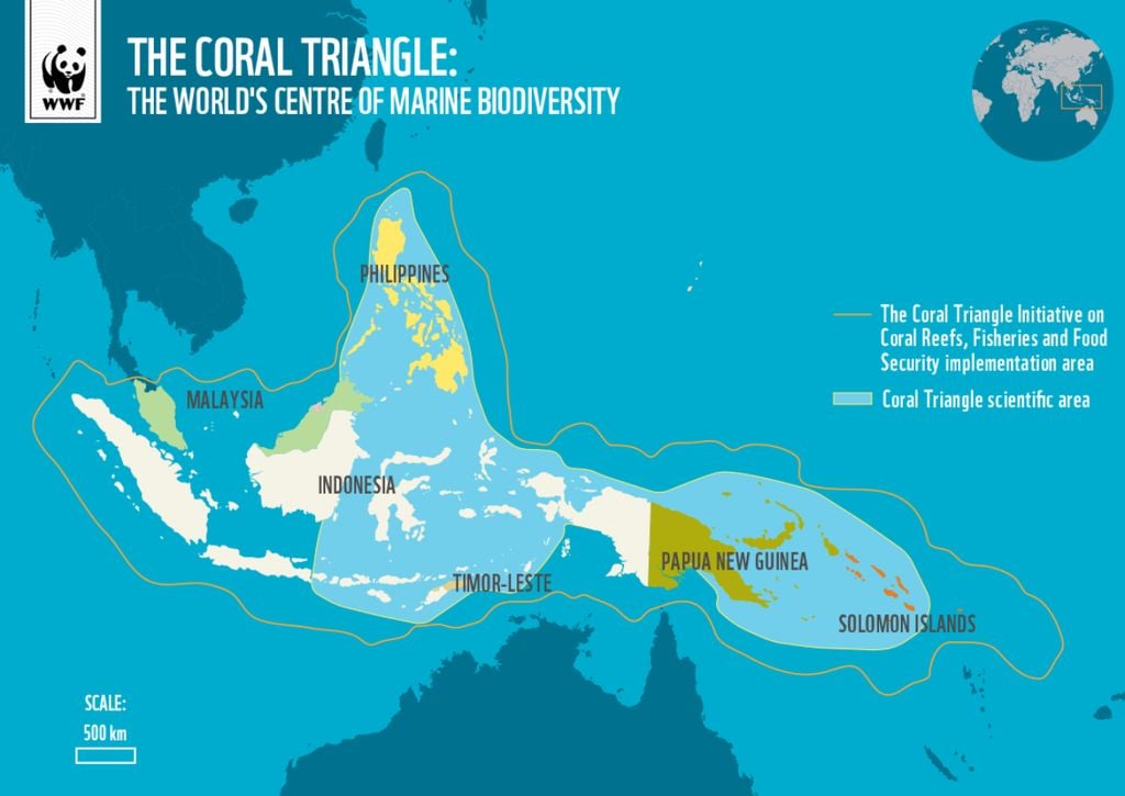 Ubicación geográfica del Triángulo de Coral