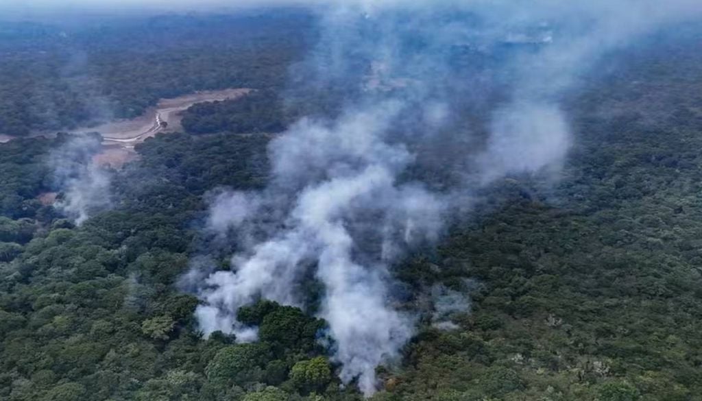 Terra Indígena Paraná do Arauató, no Amazonas. Foto: Liam Cavalcante/Rede Amazônica Terra Indígena Paraná do Arauató, no Amazonas. Foto: Liam Cavalcante/Rede Amazônica