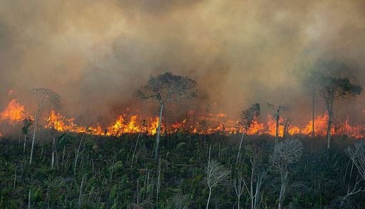 Amaz&ocirc;nia emite 1,17 bilh&atilde;o de toneladas de carbono a mais por ano, diz estudo na Nature