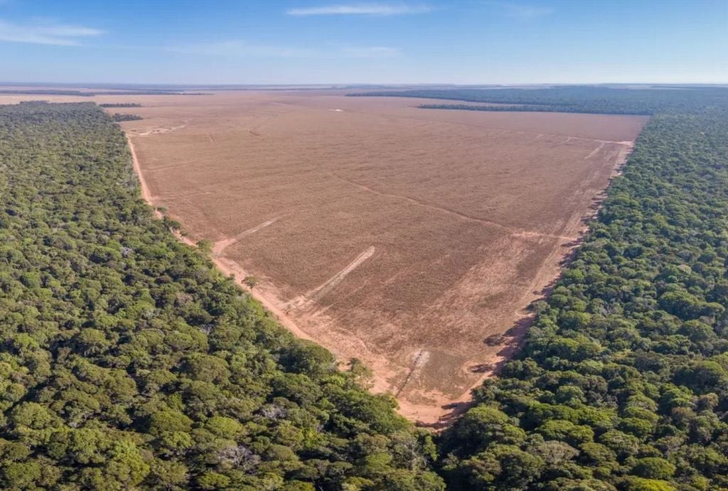 Desmatamento da Amazônia no estado de Mato Grosso. Crédito: Paralaxis via Getty Images