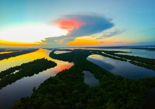 Amazônia: mais do que uma floresta, uma reguladora do clima