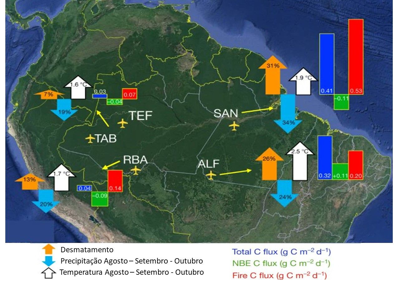 Amazônia Passou A Emitir Mais Carbono Do Que Absorver