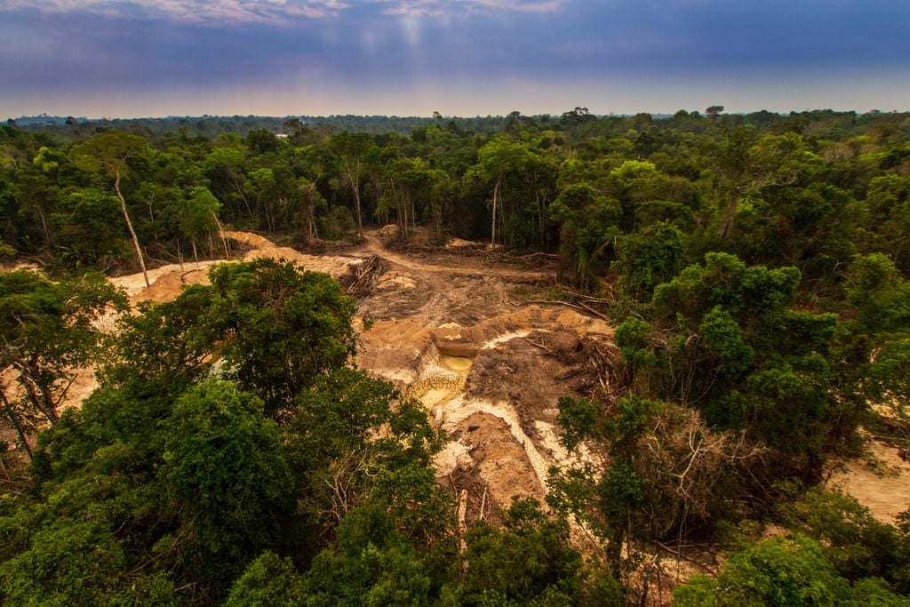O desmatamento pode enfraquecer o transporte de umidade da Amazônia e afetar o regime de chuvas em outras regiões do Brasil.