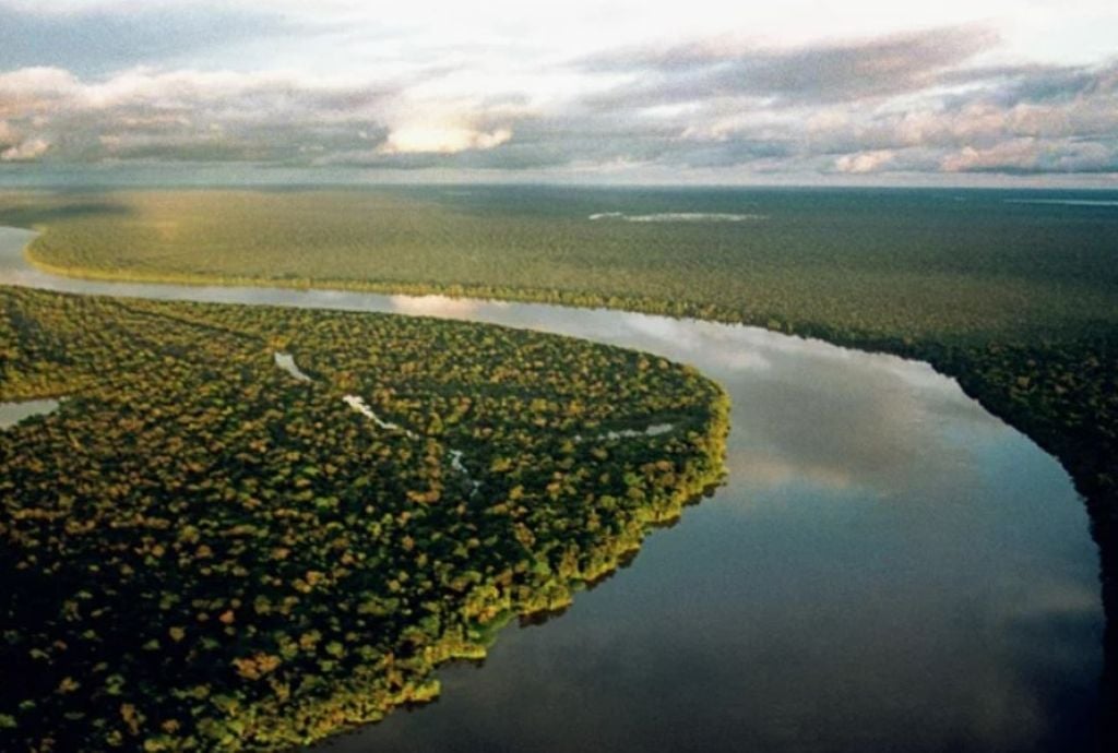 El debilitamiento de la circulación del Atlántico, fundamental para la regulación de las lluvias, puede interferir en la cobertura forestal de la Amazonía | Foto: Reproducción/Ecodebate El debilitamiento de la circulación del Atlántico, fundamental para la regulación de las lluvias, puede interferir en la cobertura forestal de la Amazonía | Foto: Reproducción/Ecodebate