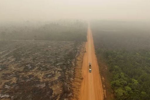 Amaz&ocirc;nia pode evitar colapso da biodiversidade, mas depende de mudan&ccedil;a de modelo