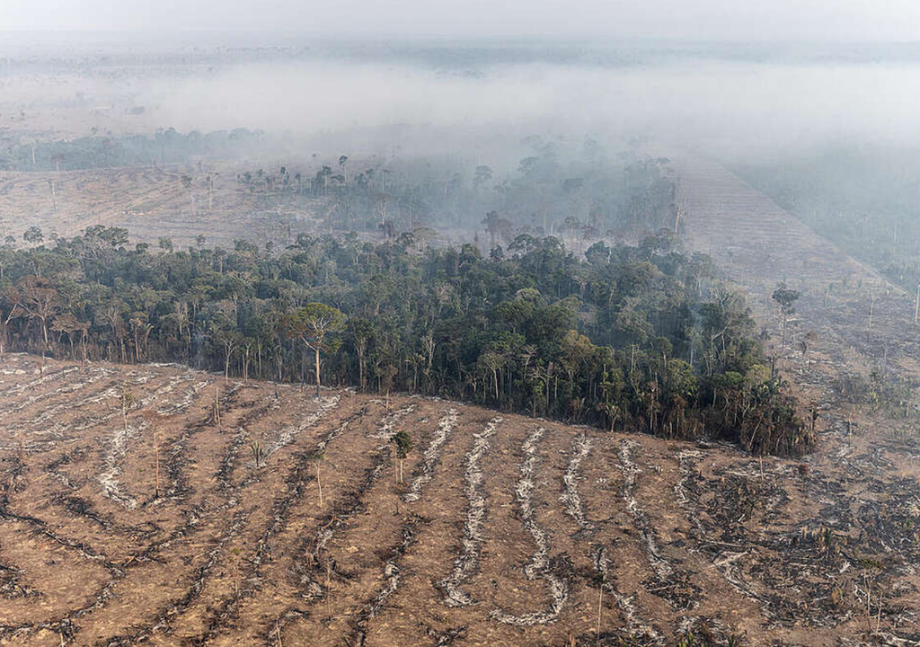 fotografía aérea de área deforestada de la Amazonia, en el norte de Brasil