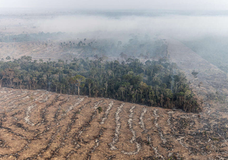 La Amazonia registra 136.000 incendios, la tasa más alta en casi 20 años