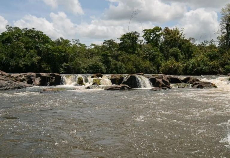 Amaz&ocirc;nia registra a primeira Unidade de Conserva&ccedil;&atilde;o estadual do Brasil em programa internacional da Lista Verde