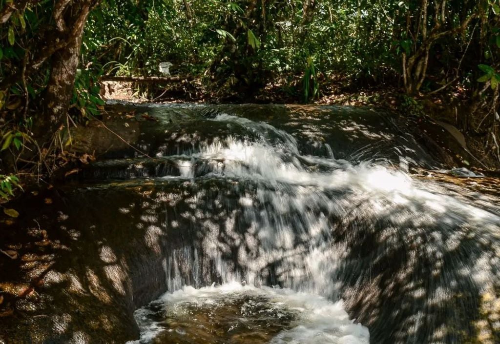 a RDS do Rio Iratapuru possui cerca de 806 mil hectares e abrange os municípios