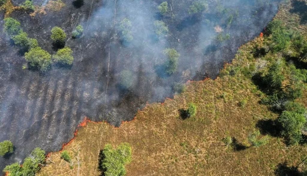Entre janeiro e junho, área sob alerta chegou a 1.295 km², menor patamar da série histórica do Deter, iniciada em 2016. Cerrado registrou o menor índice desde 2021. Crédito: Adobe Stock