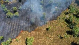 Amaz&ocirc;nia registra menor n&iacute;vel de alertas de desmatamento para o primeiro semestre em dez anos