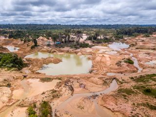 Amazonie : nouveau record de déforestation en janvier
