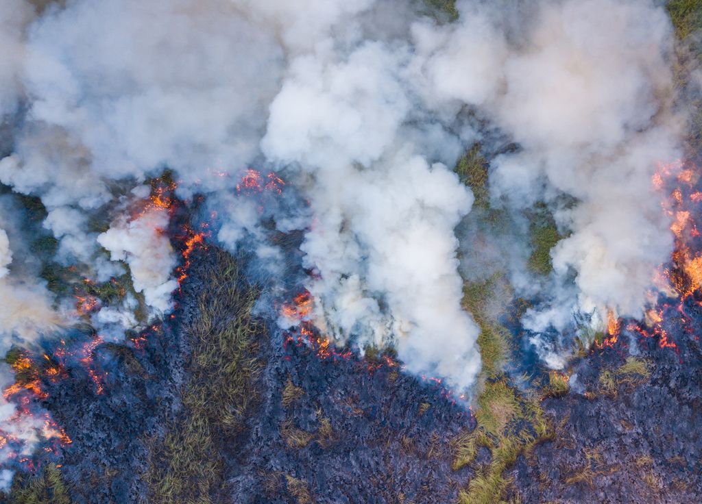 Incendie Août 2022 Amazonie