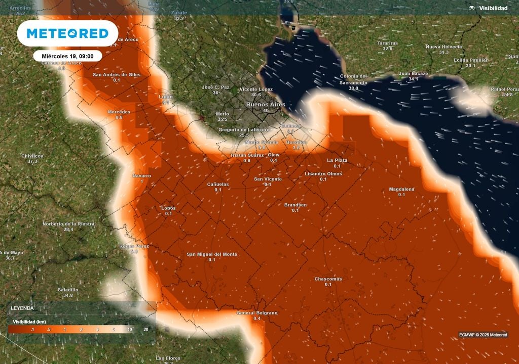 Visibilidad Miércoles 19 de Agosto a las 9 h. Visibilidad según el modelo ECMWF el miércoles 19 de Agosto de 2025 a las 9 h en Buenos Aires.