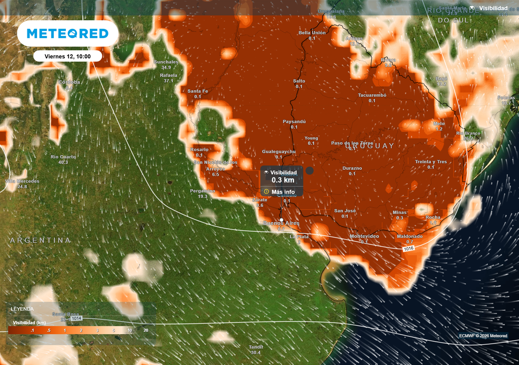 Visibilidad__Viernes 12 10 Visibilidad según el modelo ECMWF para el viernes 12 de Junio a las 10 h en Buenos Aires.