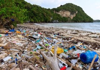 Ambitious global treaty aims to end plastic pollution