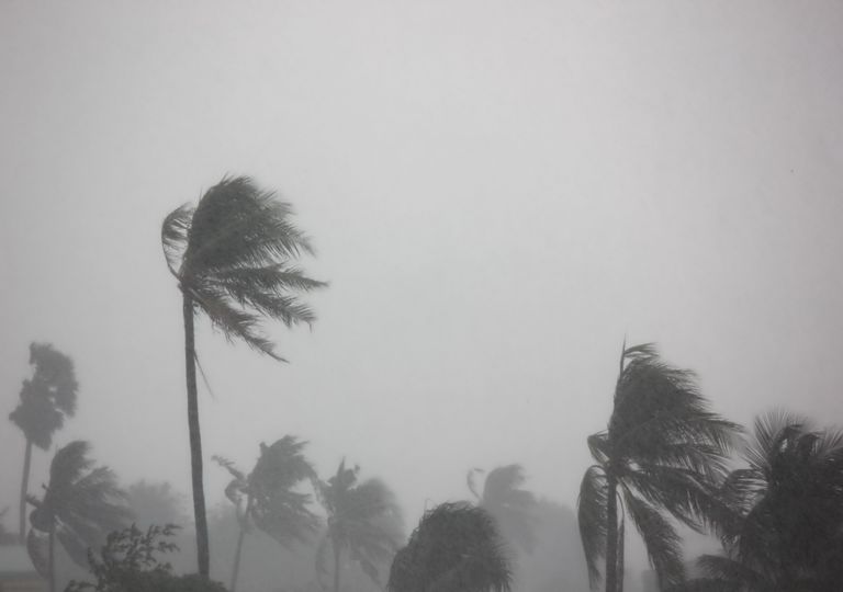 Lluvias Lluvias
