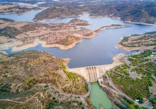 “Amendoal e Olival não podem pagar a fatura” do aumento do preço da água para a agricultura no Alqueva