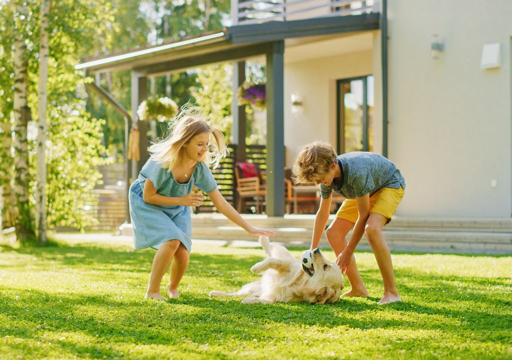 niños jugando con un perro en el jardín de una casa
