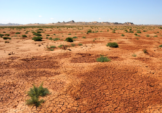 Un nuevo estudio revela que el tándem de olas de calor y de sequías se está amplificando en Eurasia por efectos humanos