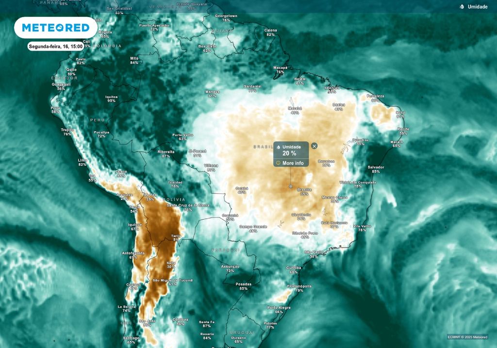 Previsão de temperatura mínima nesta segunda-feira (16), de acordo com o ECMWF. Previsão de temperatura mínima nesta segunda-feira (16), de acordo com o ECMWF.